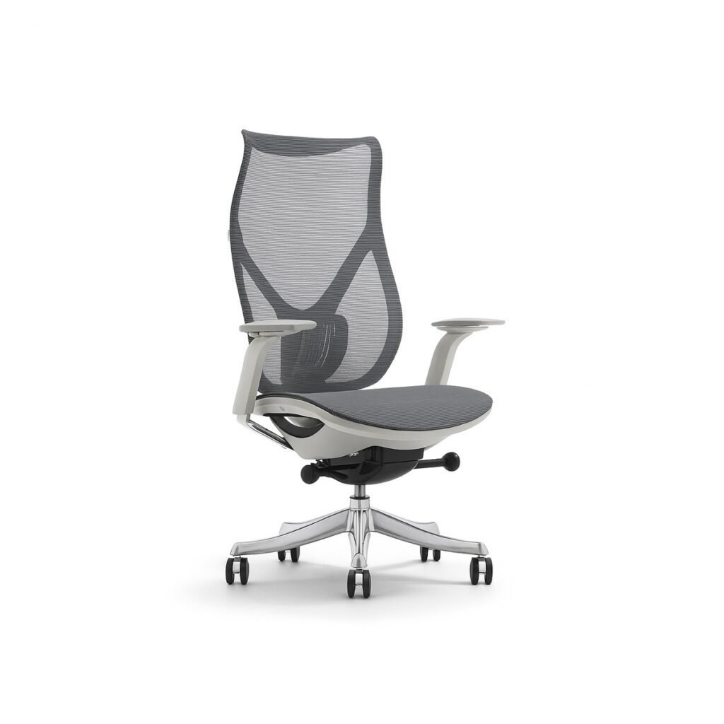 Ghế công thái học DF-WC4024