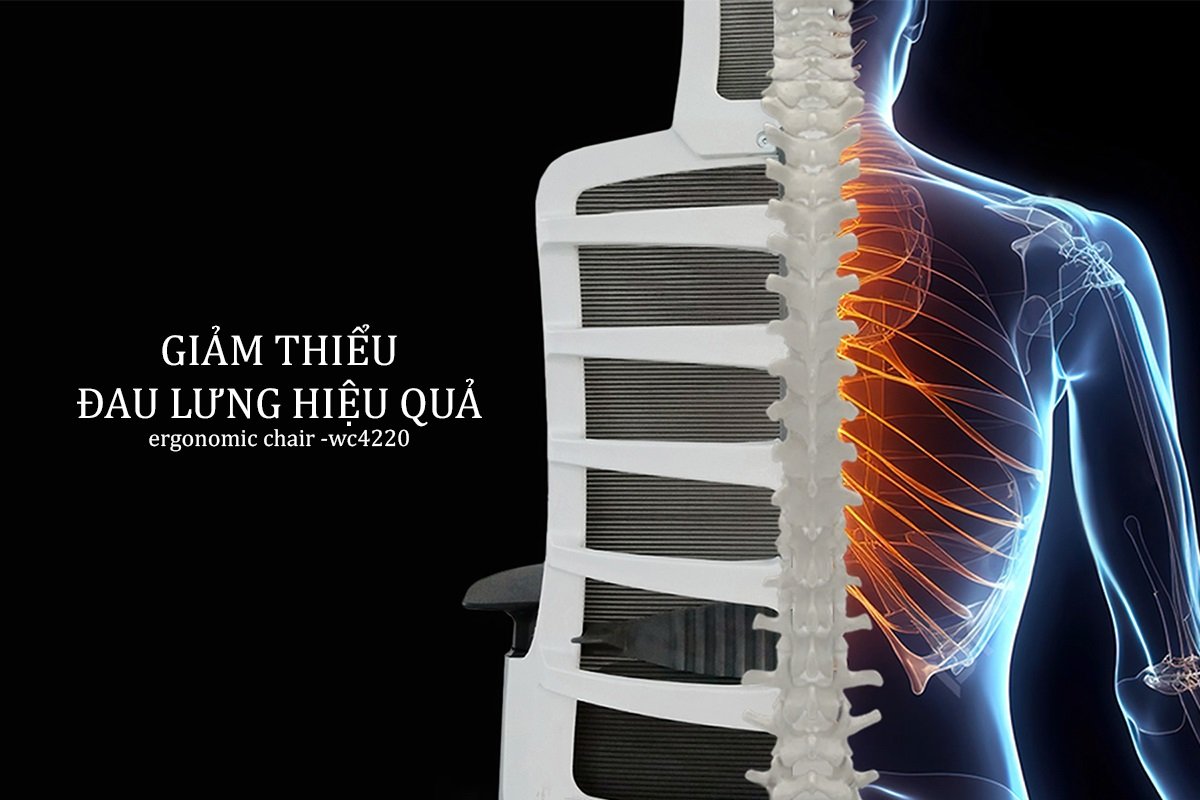 Ghế văn phòng công thái học